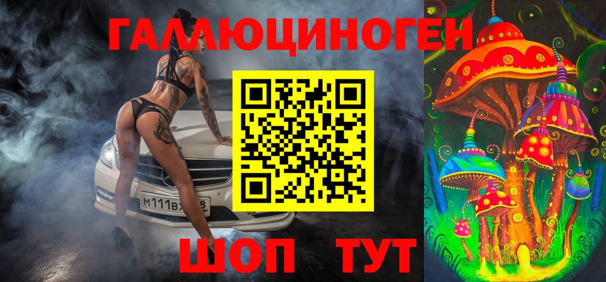 Галлюциногенные грибы Psilocybe  Вход с VPN  Зеленогорск 